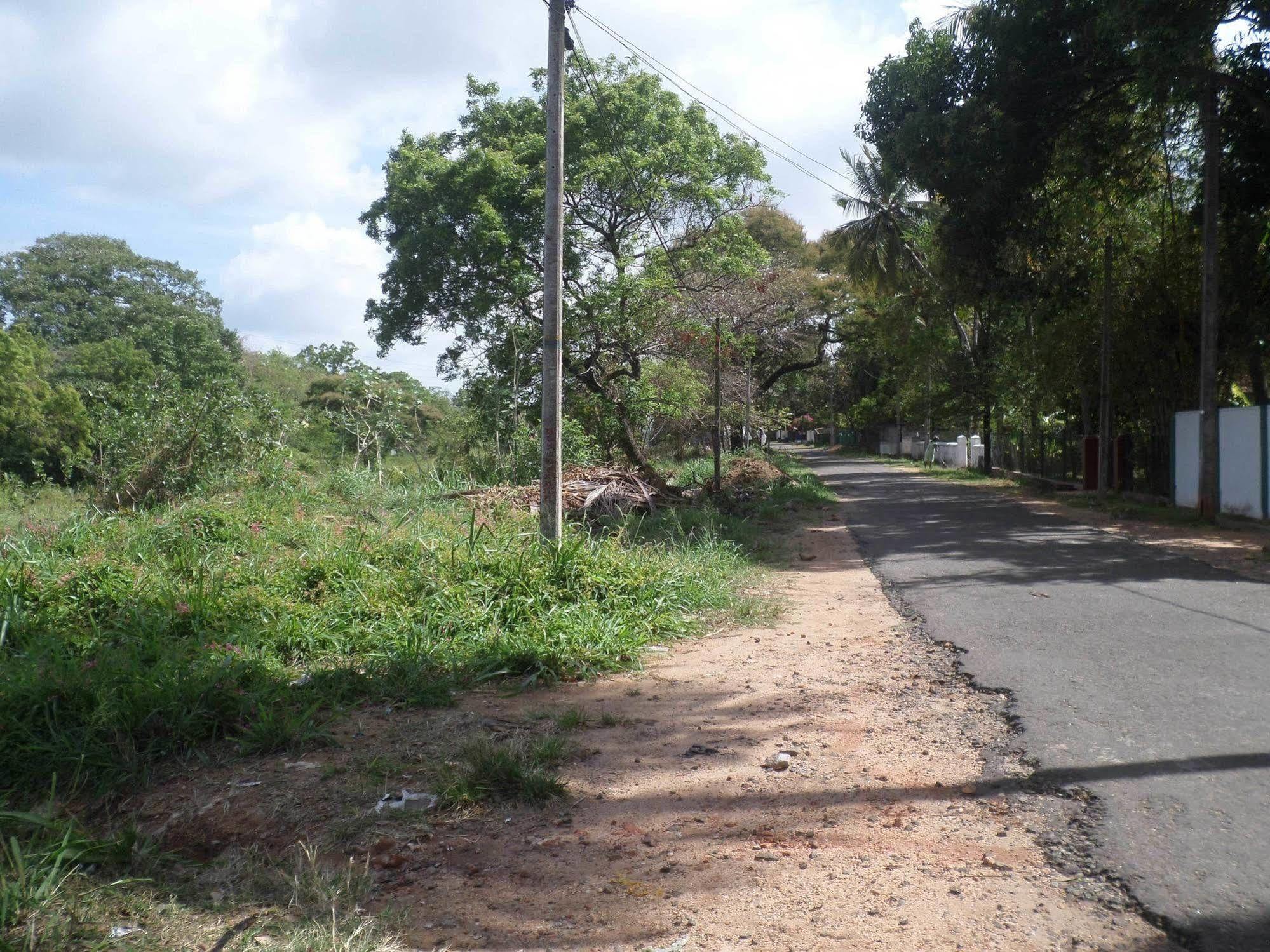 Thilaka City Hotel Anuradhapura Kültér fotó